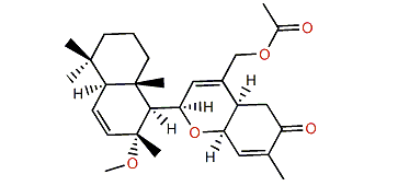 Ansellone D